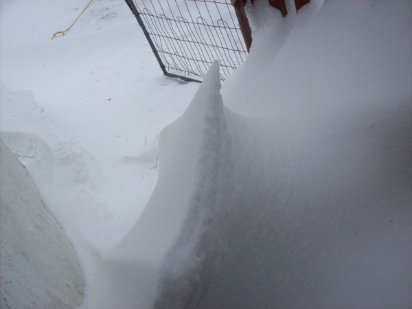 Spring-Is-Almost-Here!